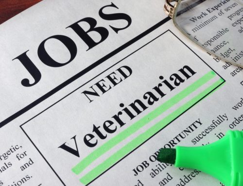 Looking for a Job in Veterinary Medicine? Look for a Practice That Offers the Complete Package