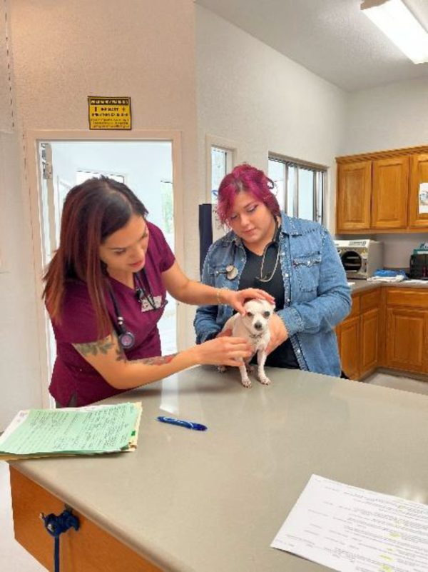 San Antonio Lytle Veterinary Clinic Inspire Veterinary Partners