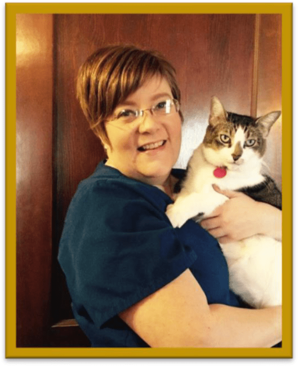 The Pony Express Veterinary Hospital SA Inspire Veterinary Partners